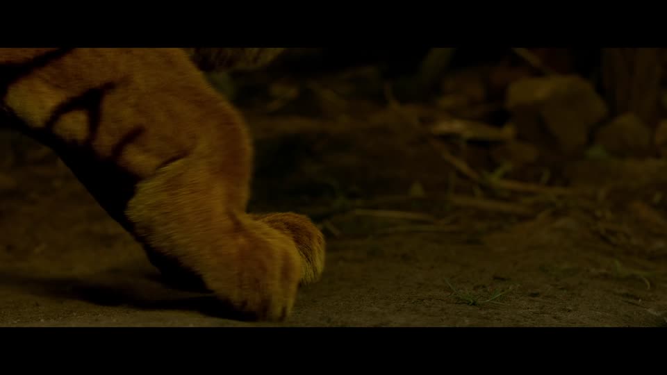 Kalvan (2024) Hindi Dubbed Movie screenshot 5