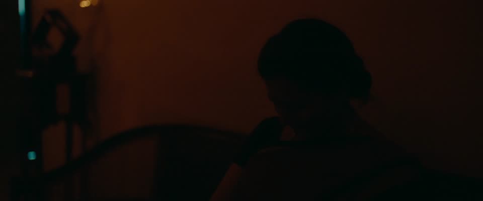 Gentlewoman (2025) Hindi Dubbed Movie screenshot 3