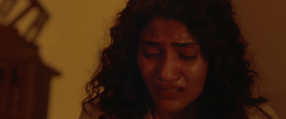 Gentlewoman (2025) Hindi Dubbed Movie screenshot 6