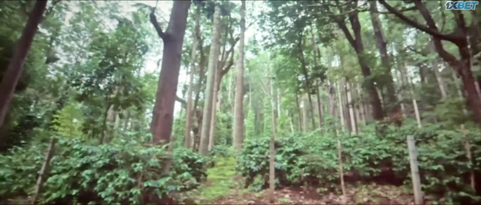 Vattakhanal (2025) Hindi Dubbed Movie screenshot 2