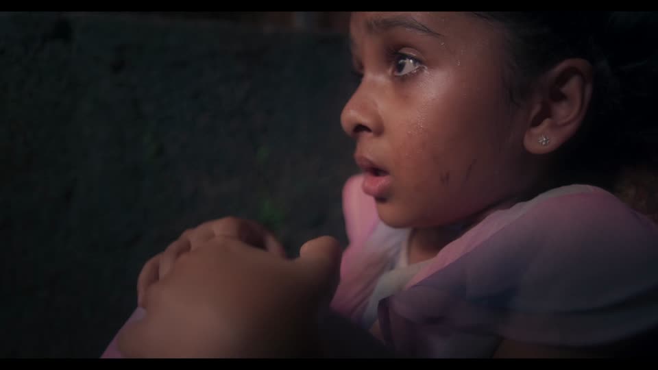 The Pet Detective (2025) Hindi Dubbed Movie screenshot 6