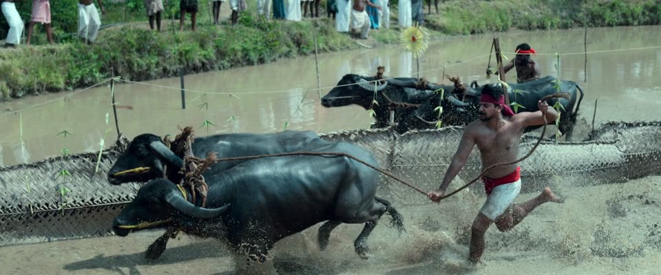 Gatha Vaibhava (2025) Hindi Dubbed Movie screenshot 4