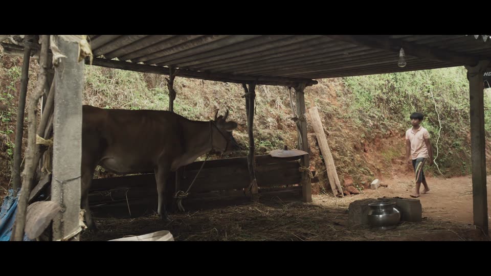 Valavaara (2025) Hindi Dubbed Movie screenshot 2