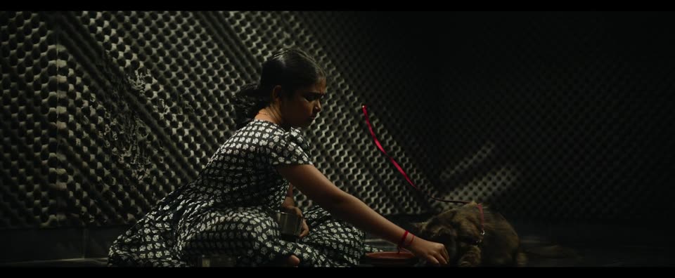 Honey (2026) Hindi Dubbed Movie screenshot 3