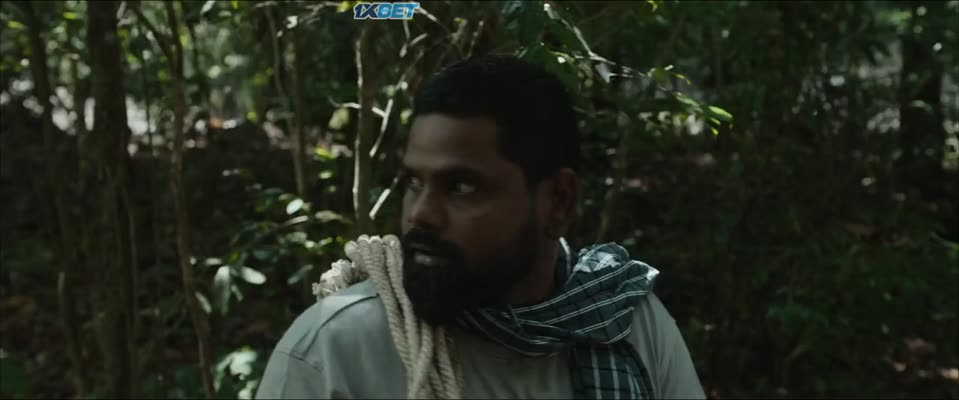 Photographer (2026) Hindi Dubbed Movie screenshot 5