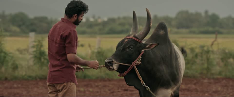 Vadam (2026) Hindi Dubbed Movie screenshot 3