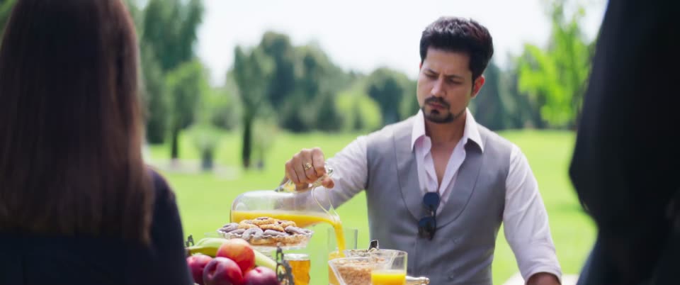 Detective Sherdil (2025) Hindi Movie screenshot 2