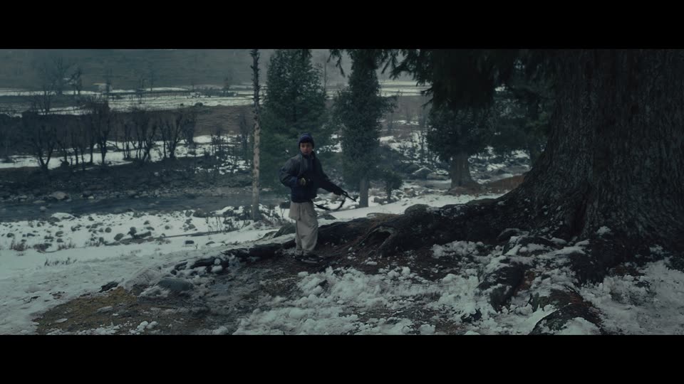 Baramulla (2025) Hindi Movie screenshot 5