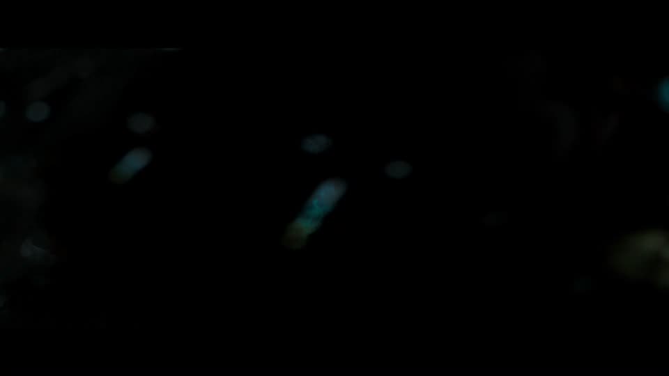 Assi (2026) Hindi Movie screenshot 1