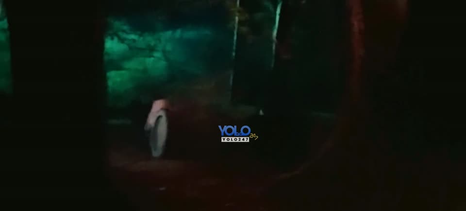 Indian Institute of Zombies (2026) Hindi Movie screenshot 6