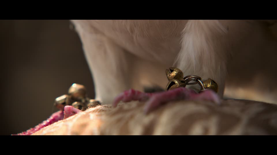Raja Shivaji (2026) Hindi Movie screenshot 3