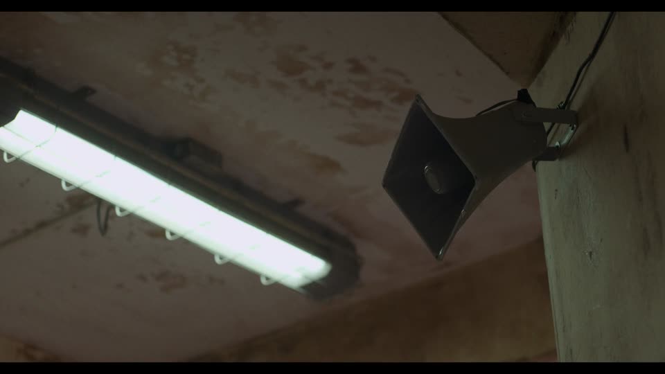 Bandar (2026) Hindi Movie screenshot 3