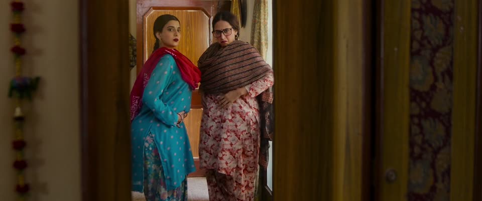 Saunkan Saunkanay 2 (2025) Punjabi Movie screenshot 2