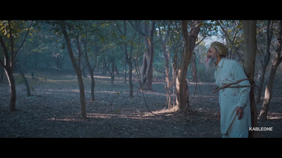 Pind Peya Saara Jombieland Baneya (2025) Punjabi Movie screenshot 4