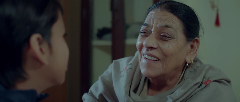Meri Pyari Daadi (2025) Punjabi Movie screenshot 5