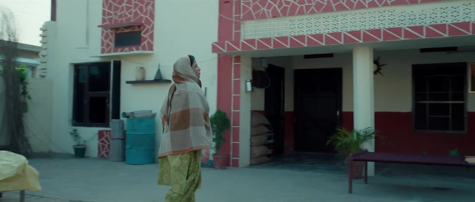 Meri Pyari Daadi (2025) Punjabi Movie screenshot 6