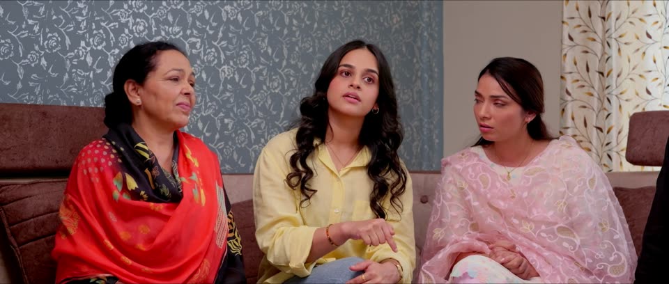 Welcome Jija Ji (2026) Punjabi Movie screenshot 3