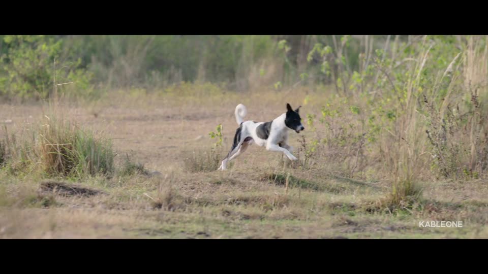 Chaali Din (2026) Punjabi Movie screenshot 5