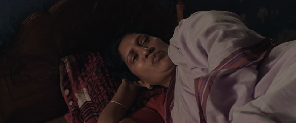 Cocoons (2026) Hindi Dubbed Movie screenshot 6