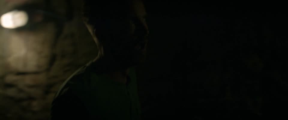 Welcome Home (2018) Hindi Dubbed Movie screenshot 5