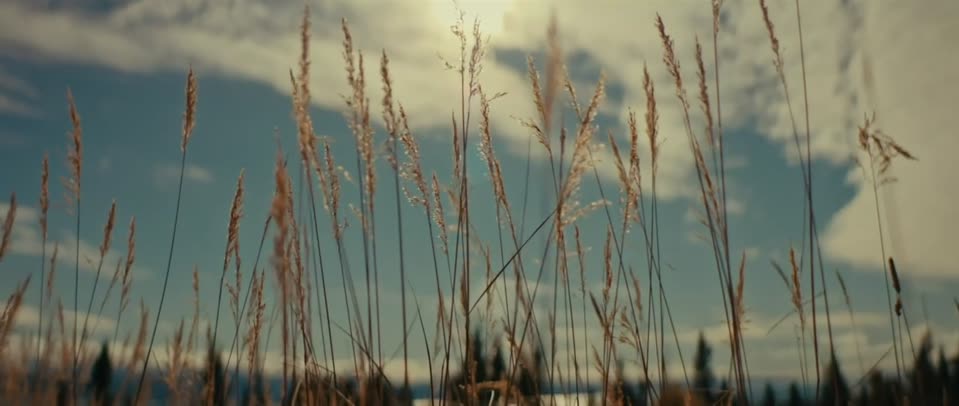 Bolt from the Blue (2023) Hindi Dubbed Movie screenshot 4