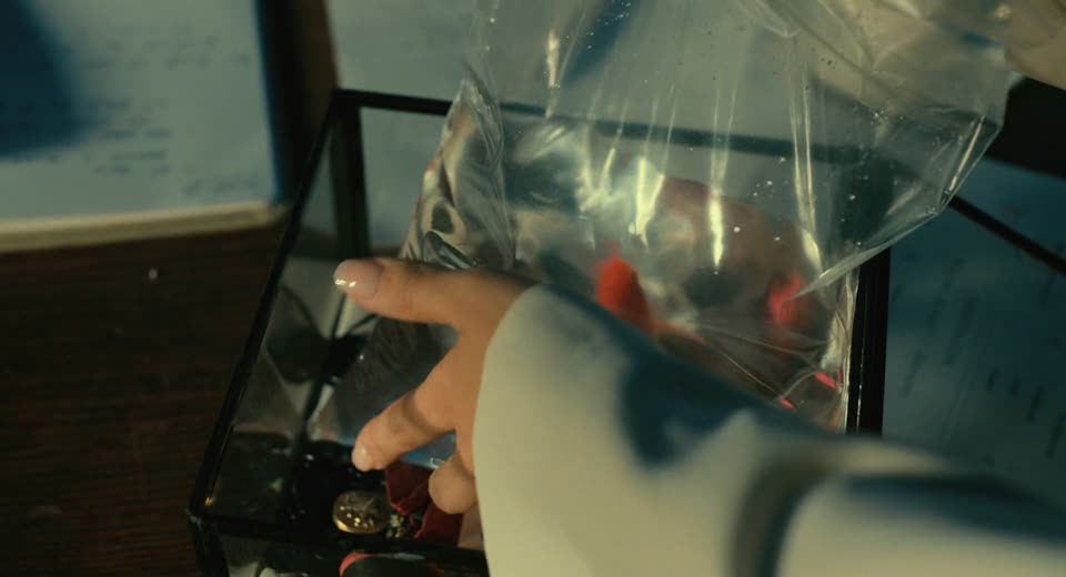 The Killer (2024) Hindi Dubbed Movie screenshot 5