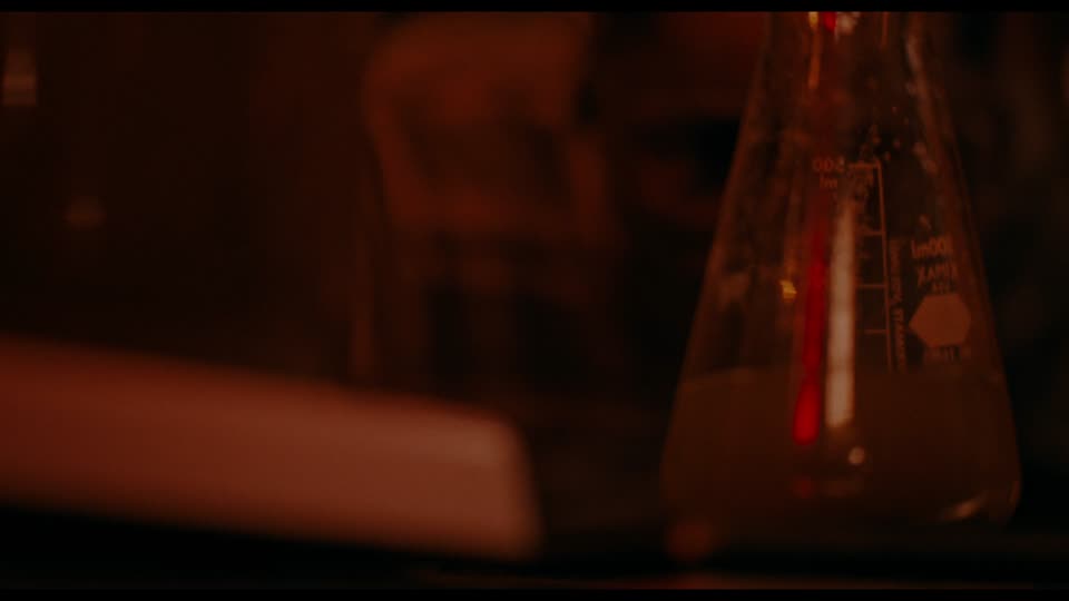 Rob Peace (2024) Hindi Dubbed Movie screenshot 4
