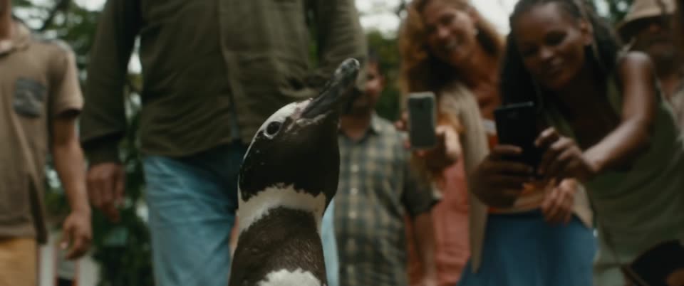 My Penguin Friend (2024) Hindi Dubbed Movie screenshot 4
