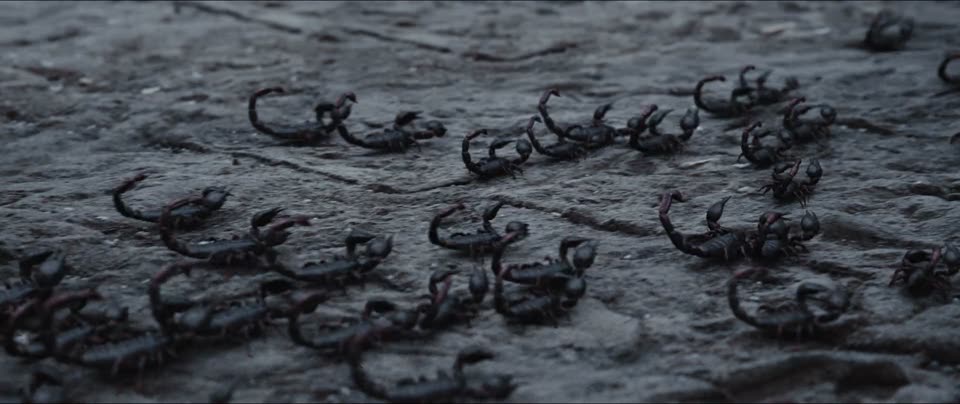 Death Game (2024) Hindi Dubbed Movie screenshot 3