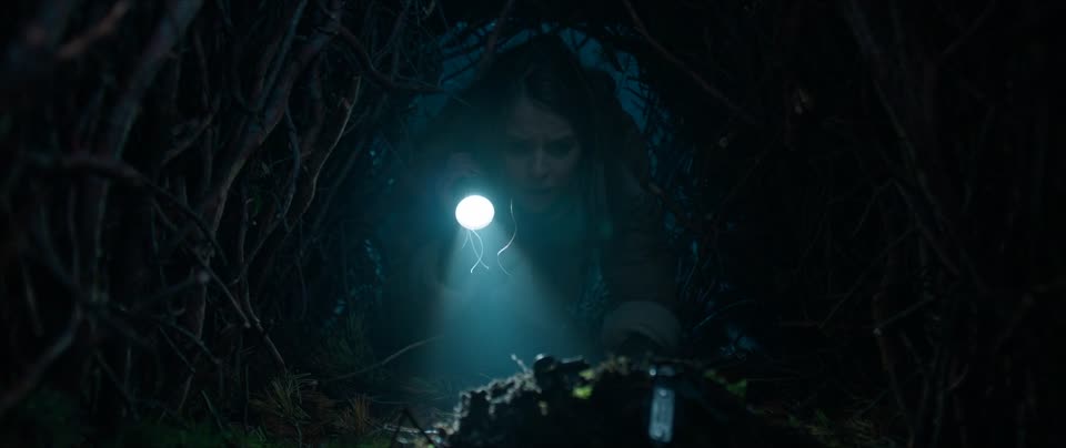 Succubus (2024) Hindi Dubbed Movie screenshot 2
