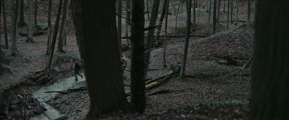 Out Come the Wolves (2025) Hindi Dubbed Movie screenshot 3