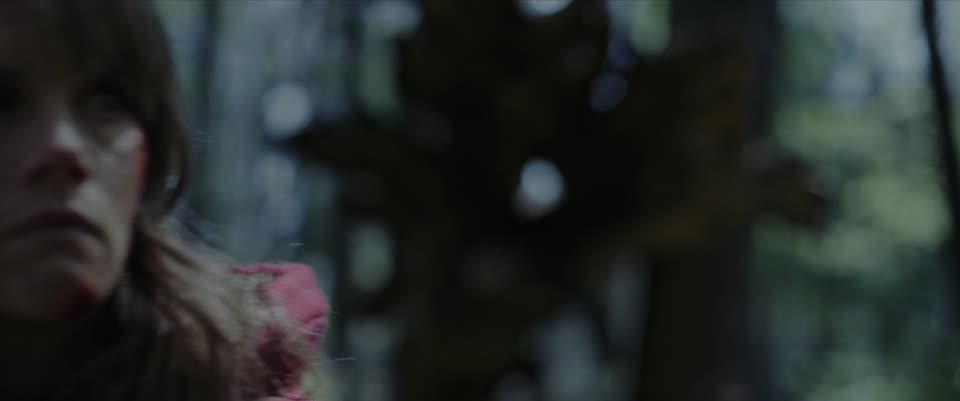 Out Come the Wolves (2025) Hindi Dubbed Movie screenshot 6