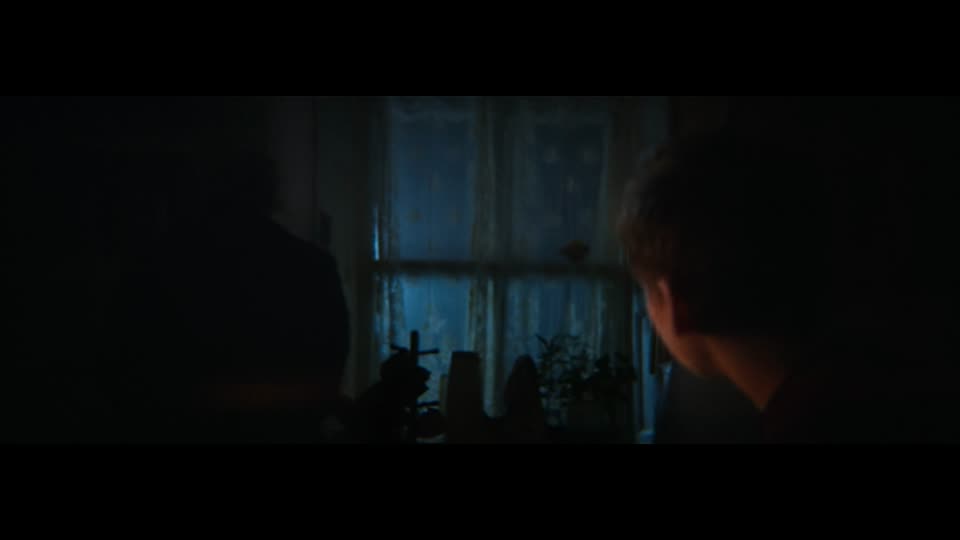 28 Years Later (2025) Hindi Dubbed Movie screenshot 3