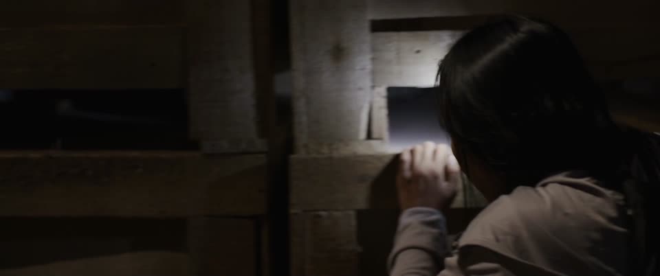 The Devils Bride (2025) Hindi Dubbed Movie screenshot 4