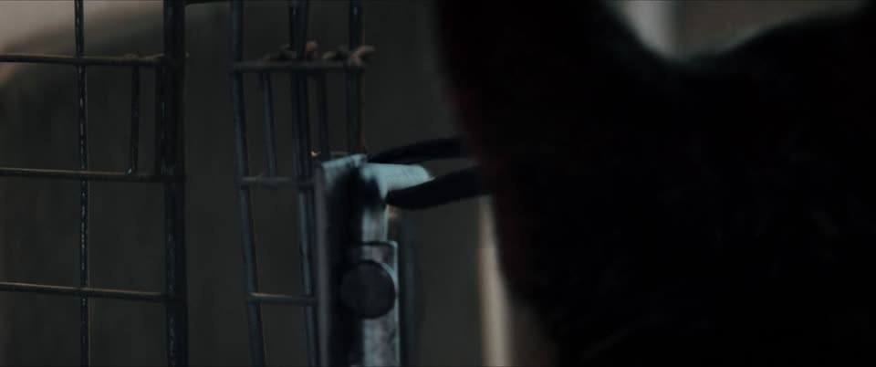 Muzzle City of Wolves (2025) Hindi Dubbed Movie screenshot 4