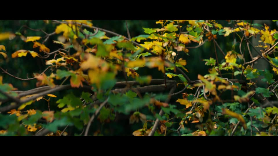 Kidnapped Elizabeth Smart (2026) Hindi Dubbed Movie screenshot 2
