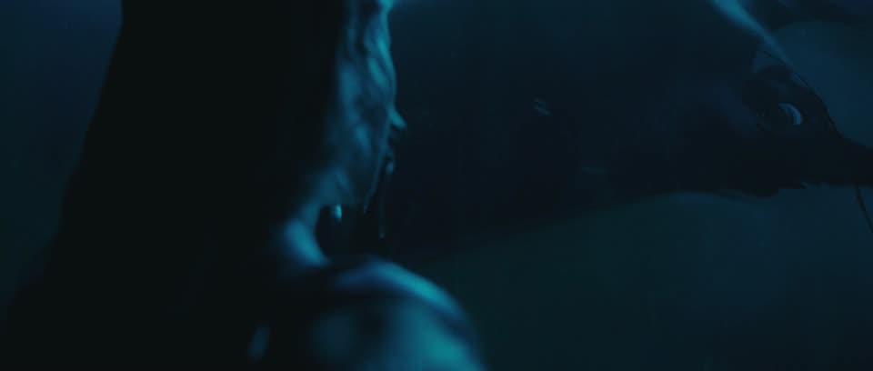 Killer Whale (2026) Hindi Dubbed Movie screenshot 2