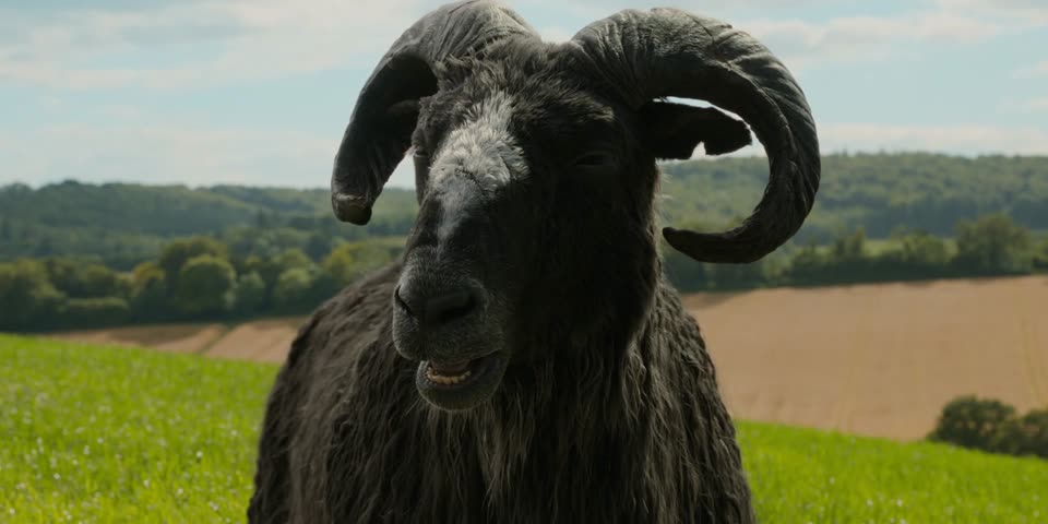 The Sheep Detectives (2026) Hindi Dubbed Movie screenshot 2