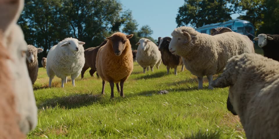 The Sheep Detectives (2026) Hindi Dubbed Movie screenshot 4
