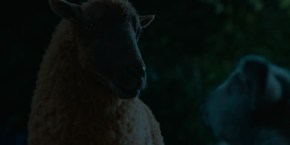 The Sheep Detectives (2026) Hindi Dubbed Movie screenshot 5