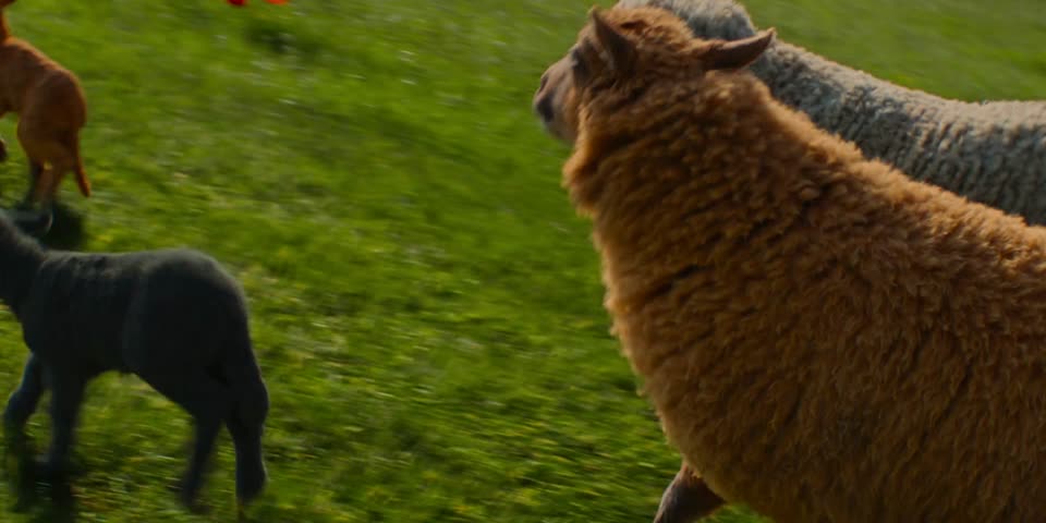 The Sheep Detectives (2026) Hindi Dubbed Movie screenshot 6