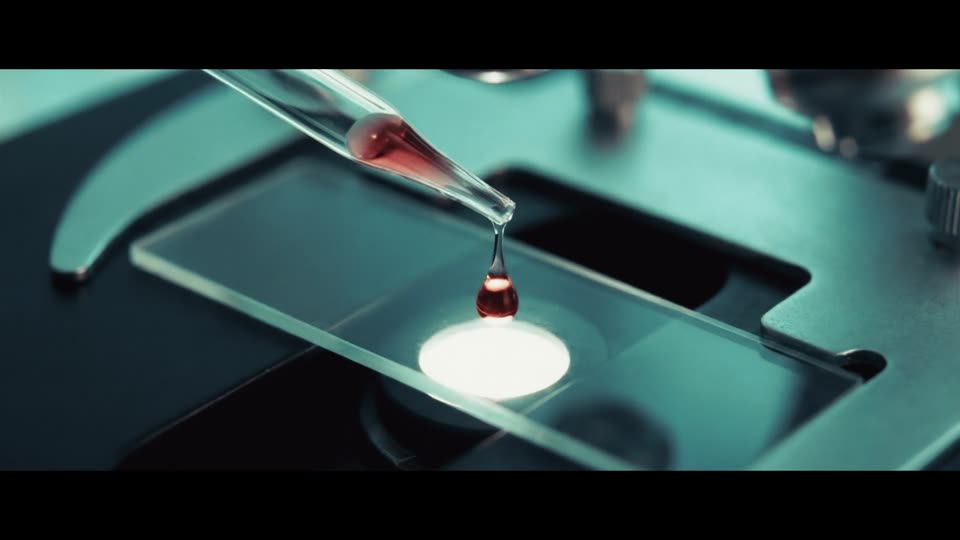 Zip Wire (2026) Hindi Dubbed Movie screenshot 1