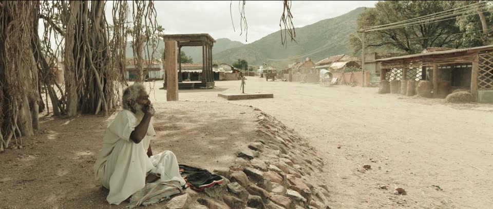 Sultan (2021) Hindi Dubbed Movie screenshot 2