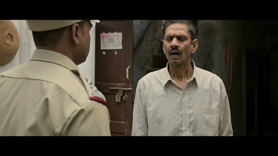 Udaipur files (2025) Hindi Movie screenshot 4