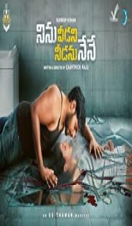 Ninnu Veedani Needanu Nene (2019) South Indian Hindi Dubbed Movie Full Movie