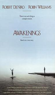 Awakenings (1990) Hindi Dubbed Full Movie