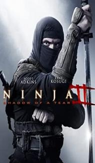 Ninja 2 Shadow of a Tear (2013) Hindi Dubbed Full Movie
