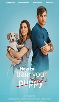 How To Train Your Husband (2017) Hindi Dubbed Full Movie