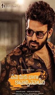 Nenu Meeku Baaga Kavalsinavaadini (2022) South Indian Hindi Dubbed Movie Full Movie