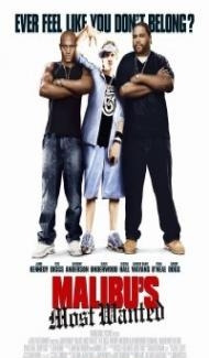 Malibus Most Wanted (2003) Hindi Dubbed Full Movie